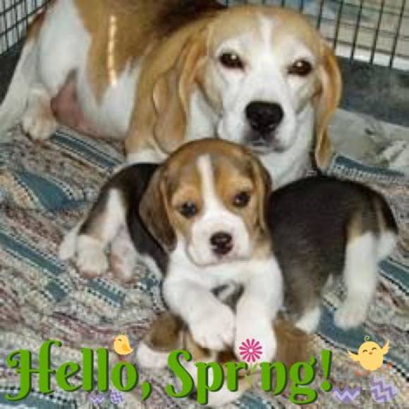 Meet your Posher, Janet - Picture 1 of 1